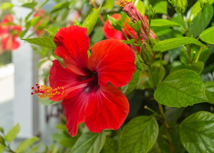 בית נופש Dionos With Jacuzzi *