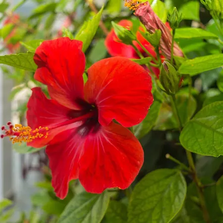 Prázdninový dům Dionos With Jacuzzi *